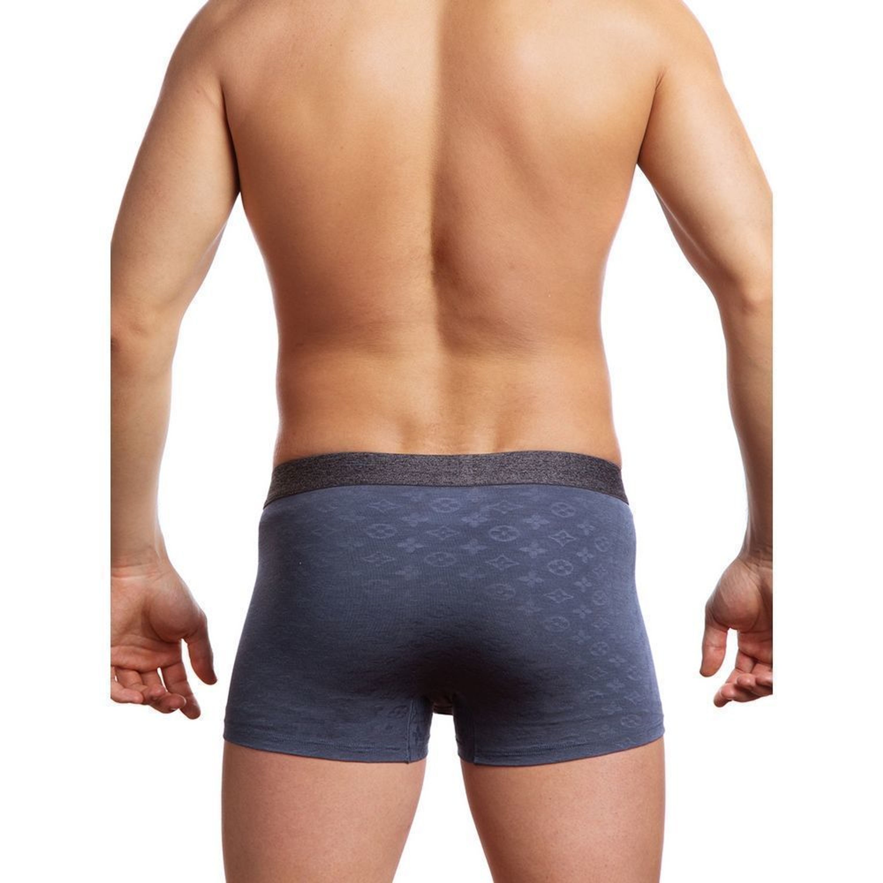 Мужские трусы боксеры серые Sergio Dallini SG2308-1 фото 3