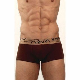Фото Мужские трусы боксеры коричневые с косой резинкой черные буквы Calvin Klein Bronze Boxer Italics Brown
