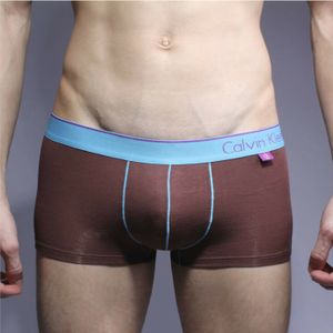 Фото Мужские трусы хипсы коричневые с голубой резинкой CK One Boxer 