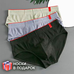 Фото Набор мужских трусов брифов 3в1 + ПОДАРОК ROMEO ROSSI RR2083-02
