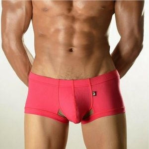 Фото Мужские трусы хипсы фуксия с бежевой сеткой DOOP Pink&Beige Net Trunk