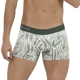 Фото Мужские трусы боксеры с принтом цвета хаки Clever INNER BOXER 112910