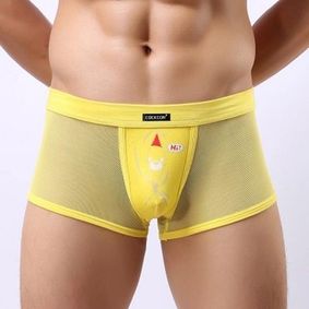 Фото Мужские трусы боксеры желтые в сетку с рисунком Cockcon Unzip-Me Boxer Yellow  850