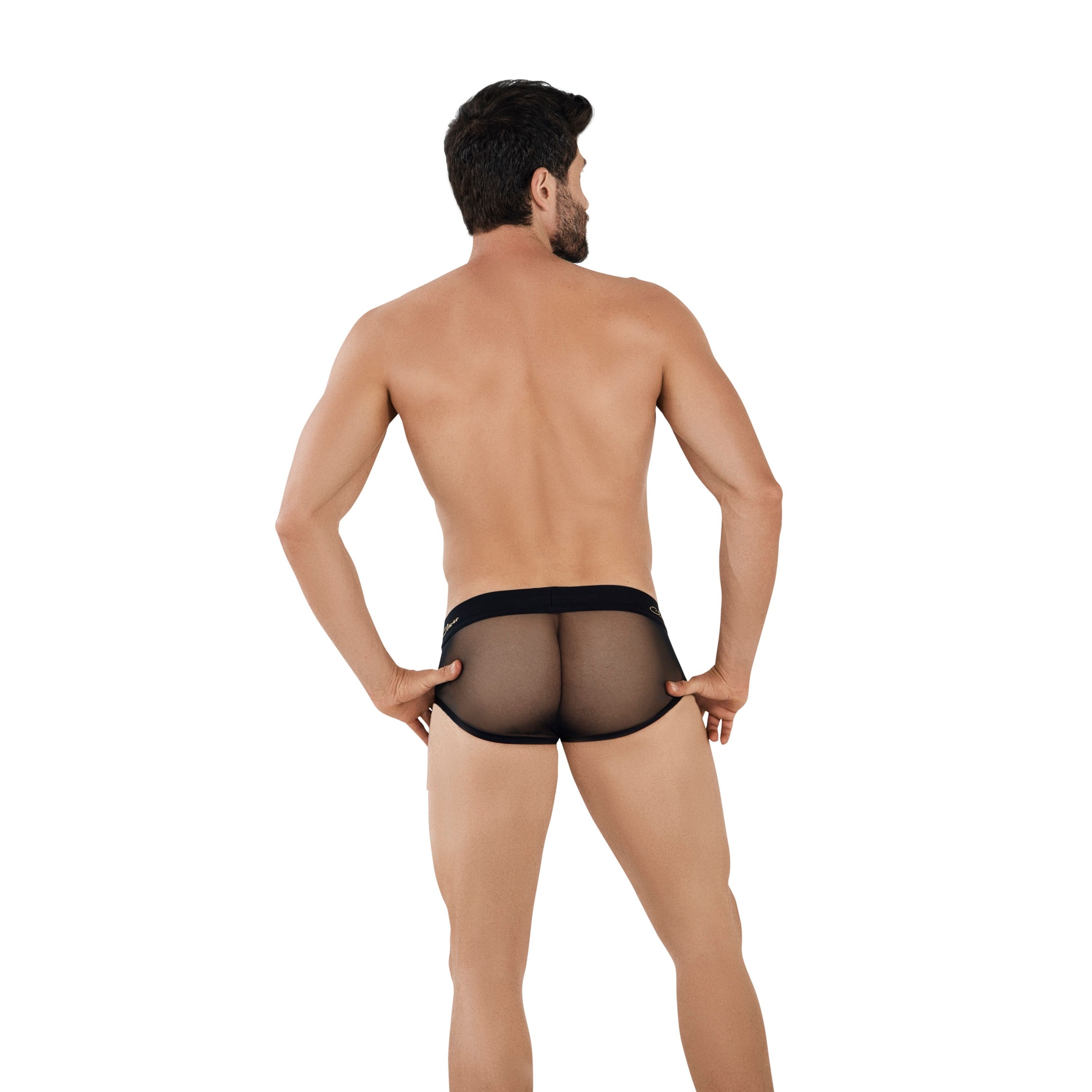 Мужские трусы брифы черные с сетчатой вставкой Clever BERNA BRIEF 103011 фото 2