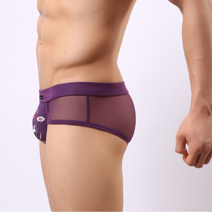 Мужские трусы брифы фиолетовые в сетку с рисунком Cockcon Unzip-Me Brief Violet 650 фото 2