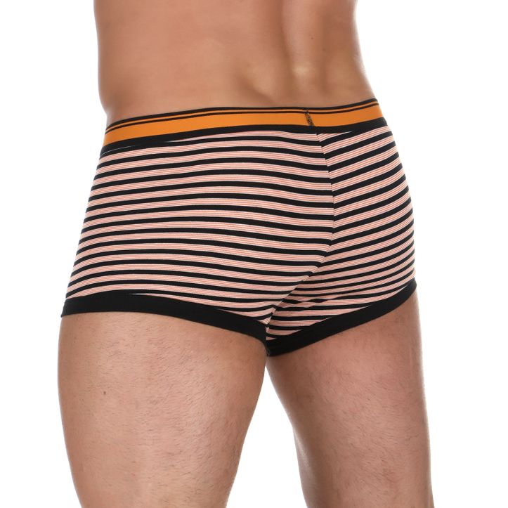 Комплект мужских трусов боксеры 2 штуки PAPI 980570-966 фото 5