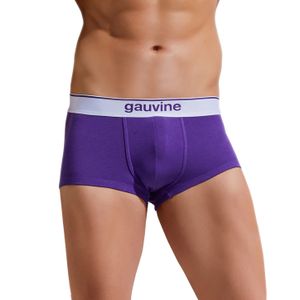 Фото Мужские трусы хипсы фиолетовые GAUVINE 3000