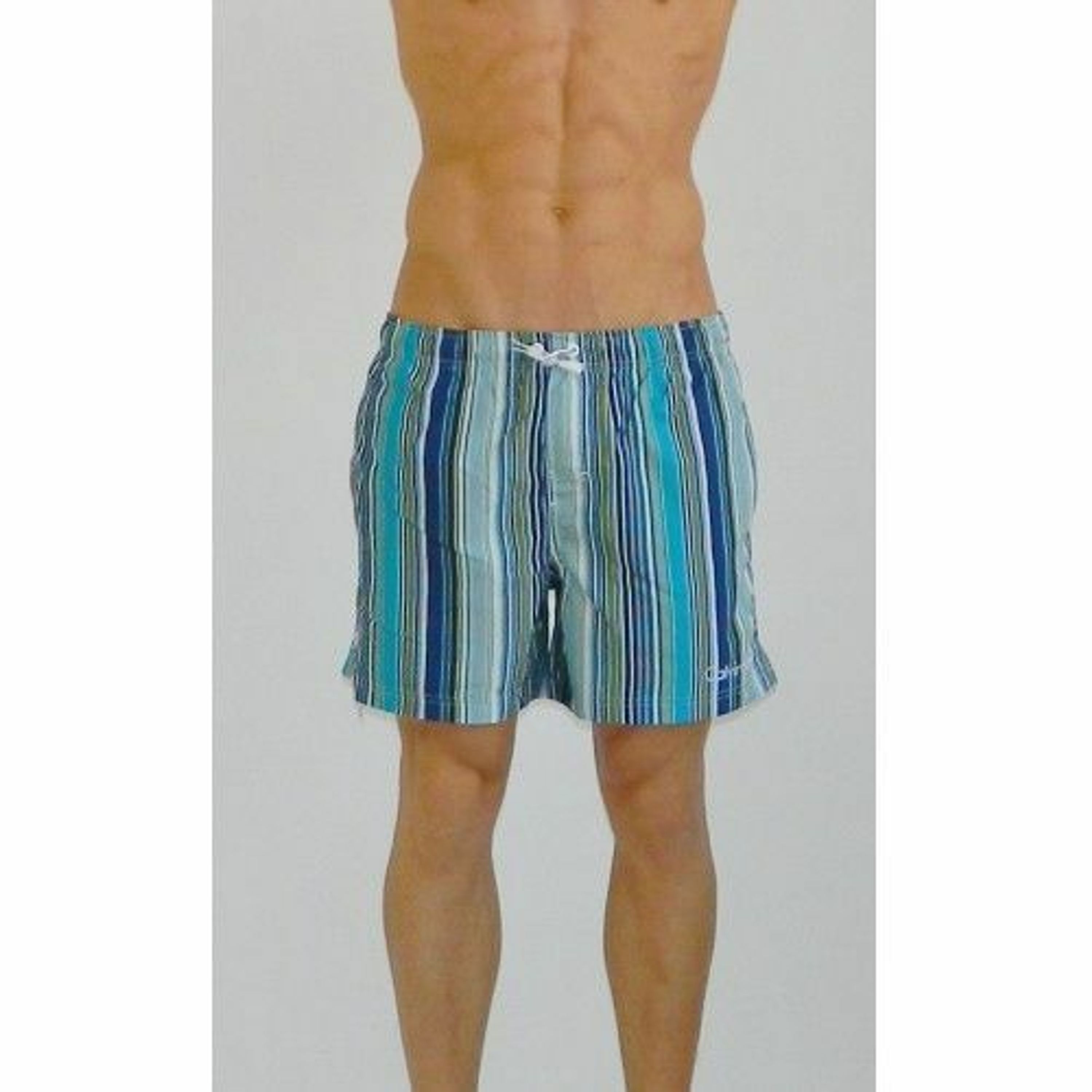 Мужские шорты плавательные голубые в полоску Calvin Klein Swimming Edition Aqua фото 2