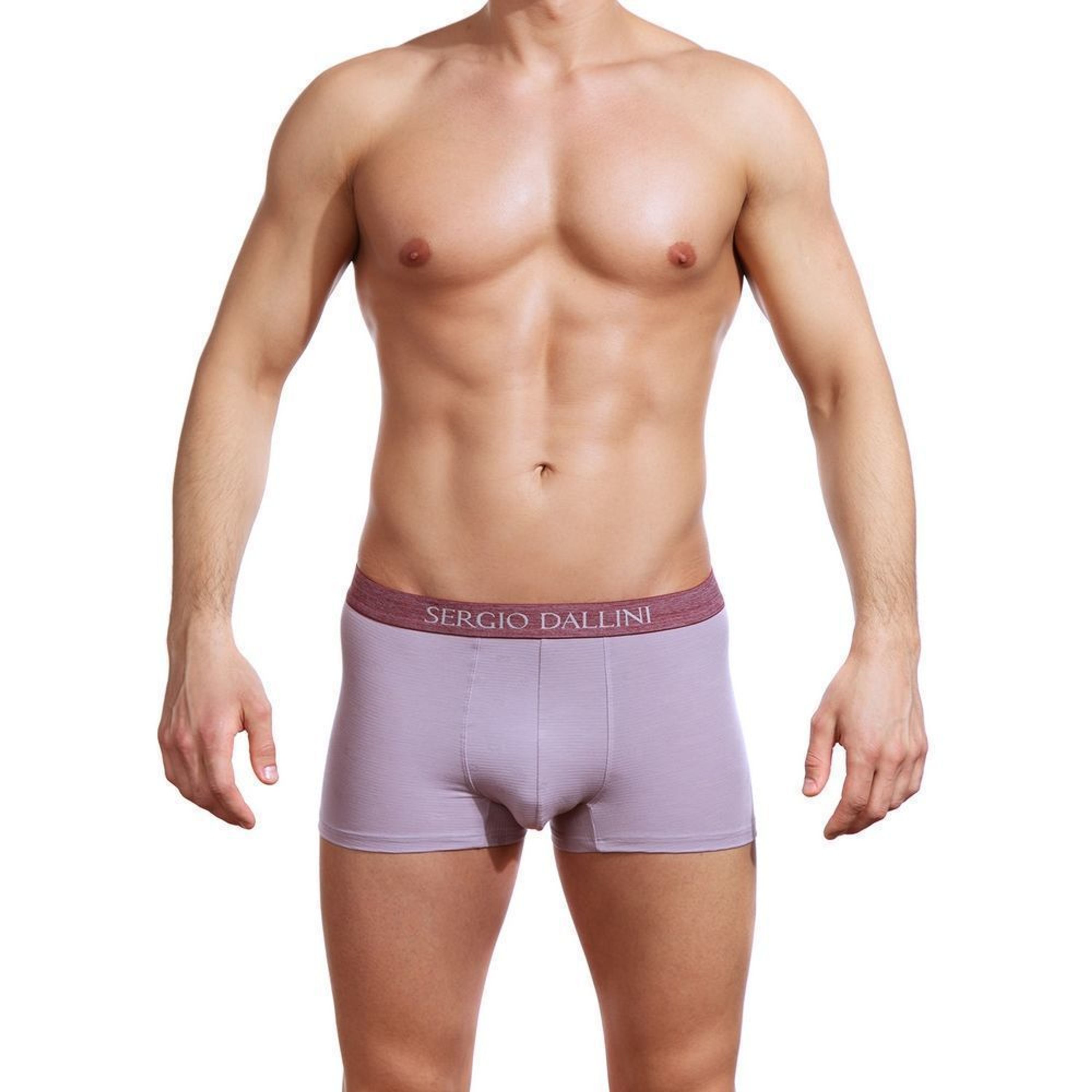 Мужские трусы боксеры сиреневые Sergio Dallini SG2305-2 фото 1