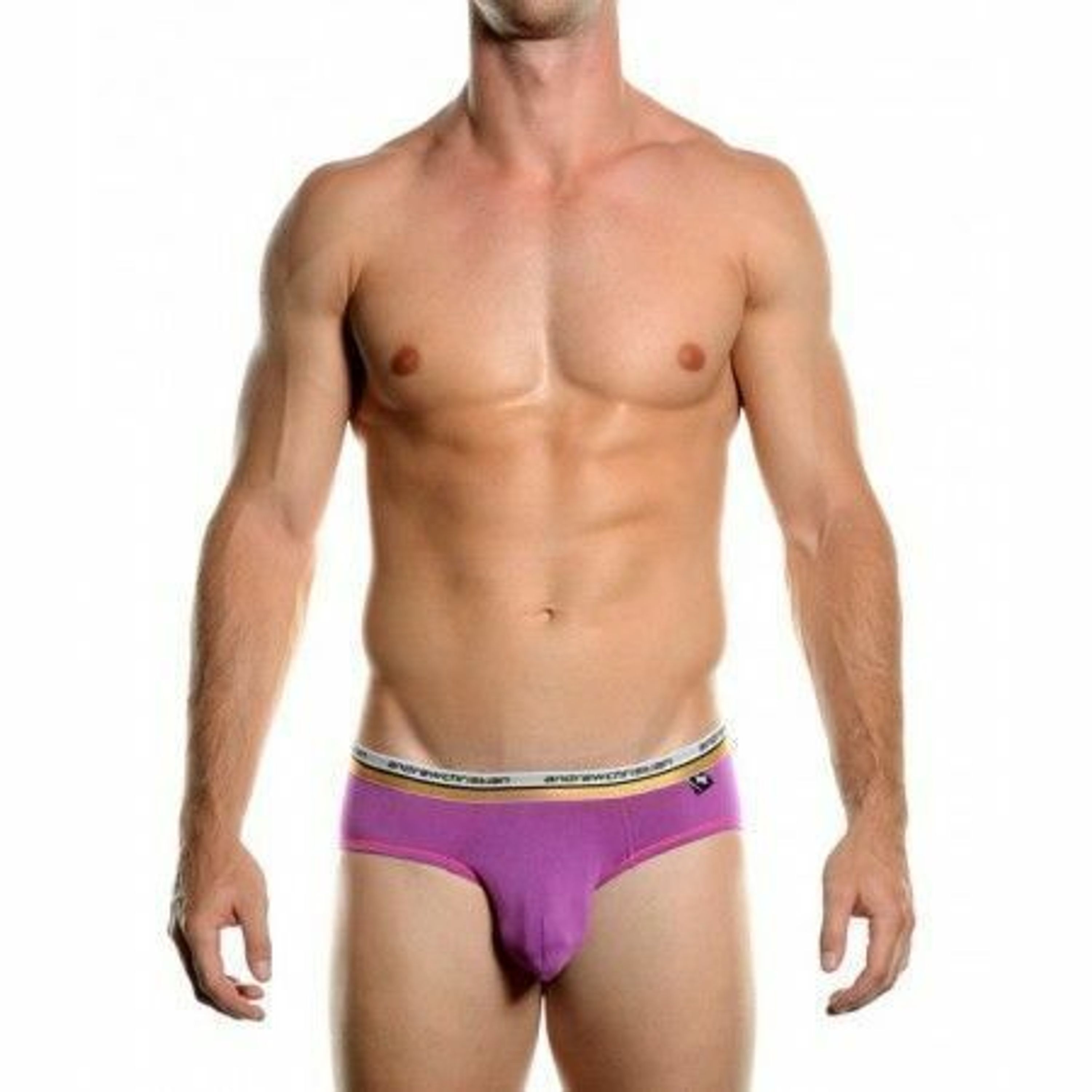 Мужские трусы слипы сиреневые Andrew Christian Vibe Brief Grape фото 1