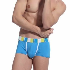 Фото Мужские трусы боксеры голубые ZPOH Vitality Boxer Blue