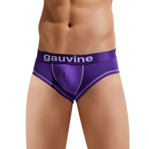 Фото Мужские трусы брифы фиолетовые GAUVINE 3023