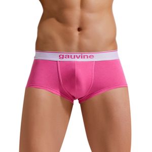 Фото Мужские трусы хипсы фуксия GAUVINE 3000