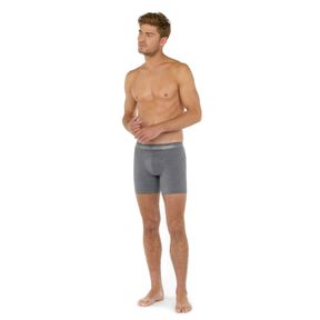 Фото Мужские трусы боксеры удлиненные серые HOM HO1 Long Boxer Briefs HO1 359519_4000ZU