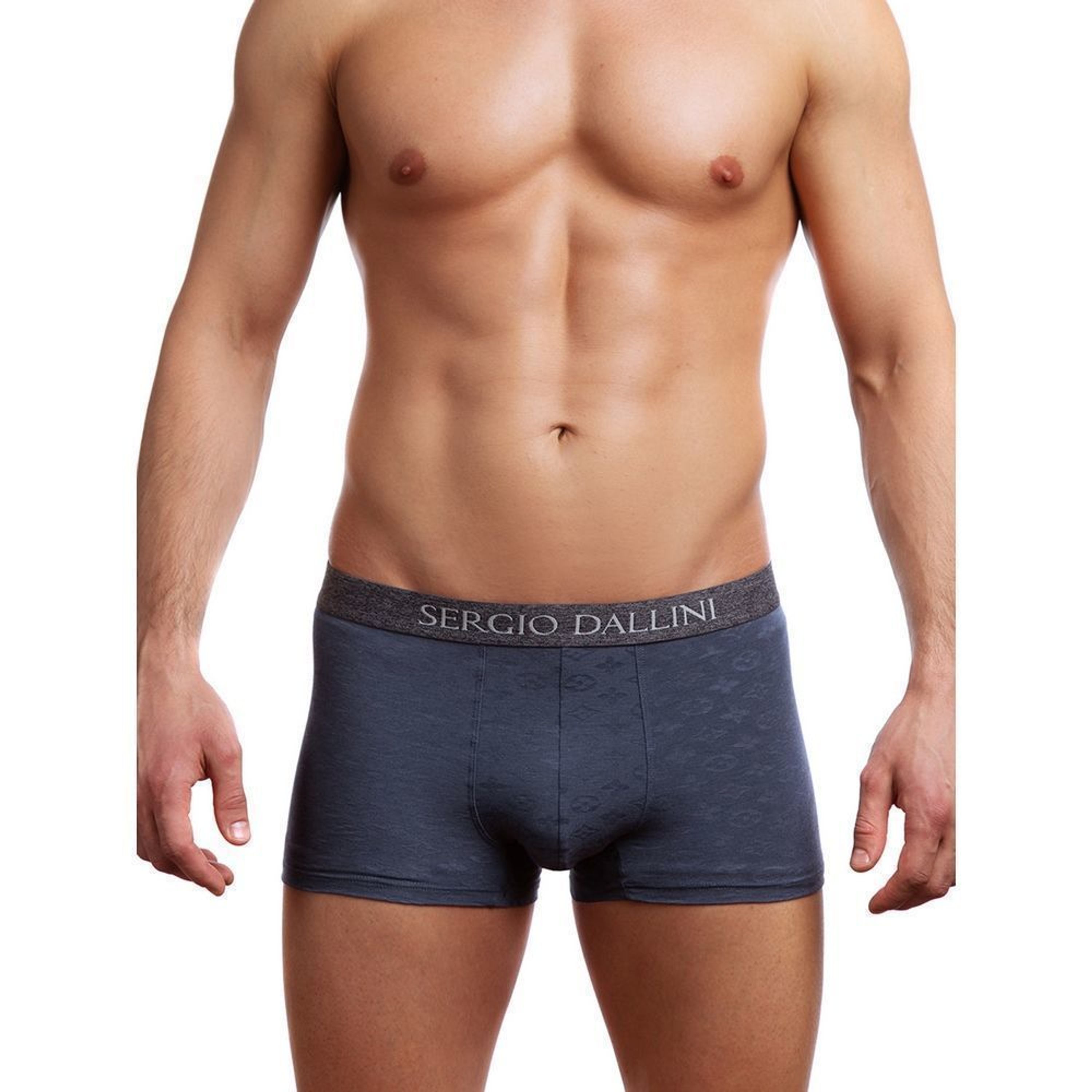 Мужские трусы боксеры серые Sergio Dallini SG2308-1 фото 1