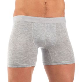 Фото Мужские трусы боксеры серые  E5 Underwear  Long