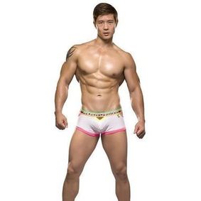 Фото Мужские трусы хипсы Andrew Christian Teaser Boxer White  AC9756