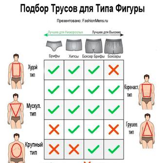 Как выбрать трусы для типа фигуры мужчины