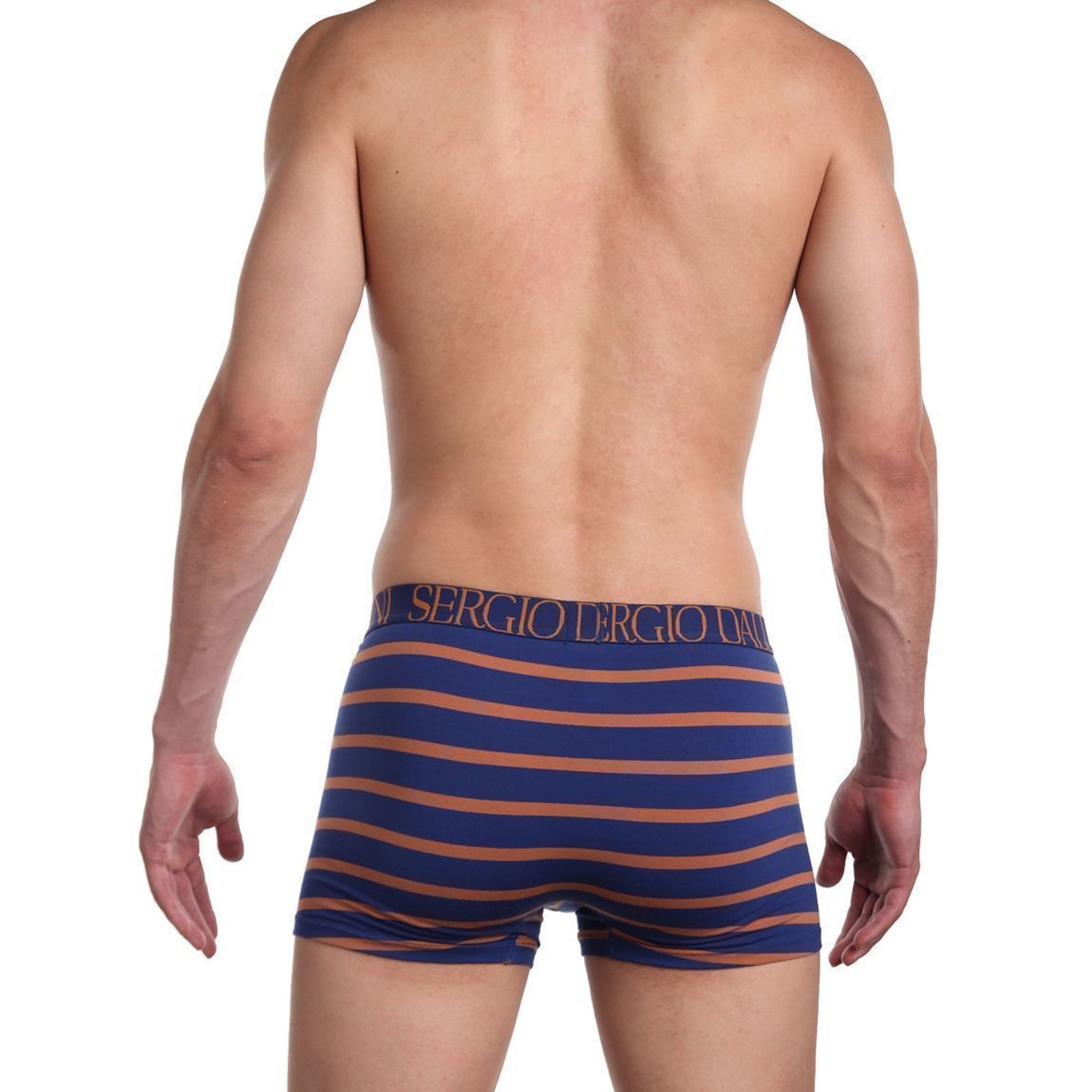 Мужские трусы боксеры синие в полоску Sergio Dallini SG2929-3 фото 2