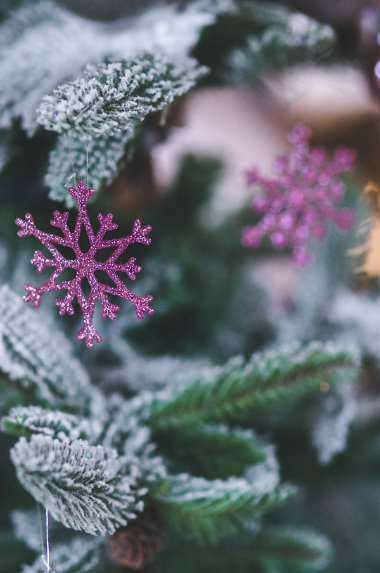 Изменения в нашем графике работы на новогодние праздники 2025-2026