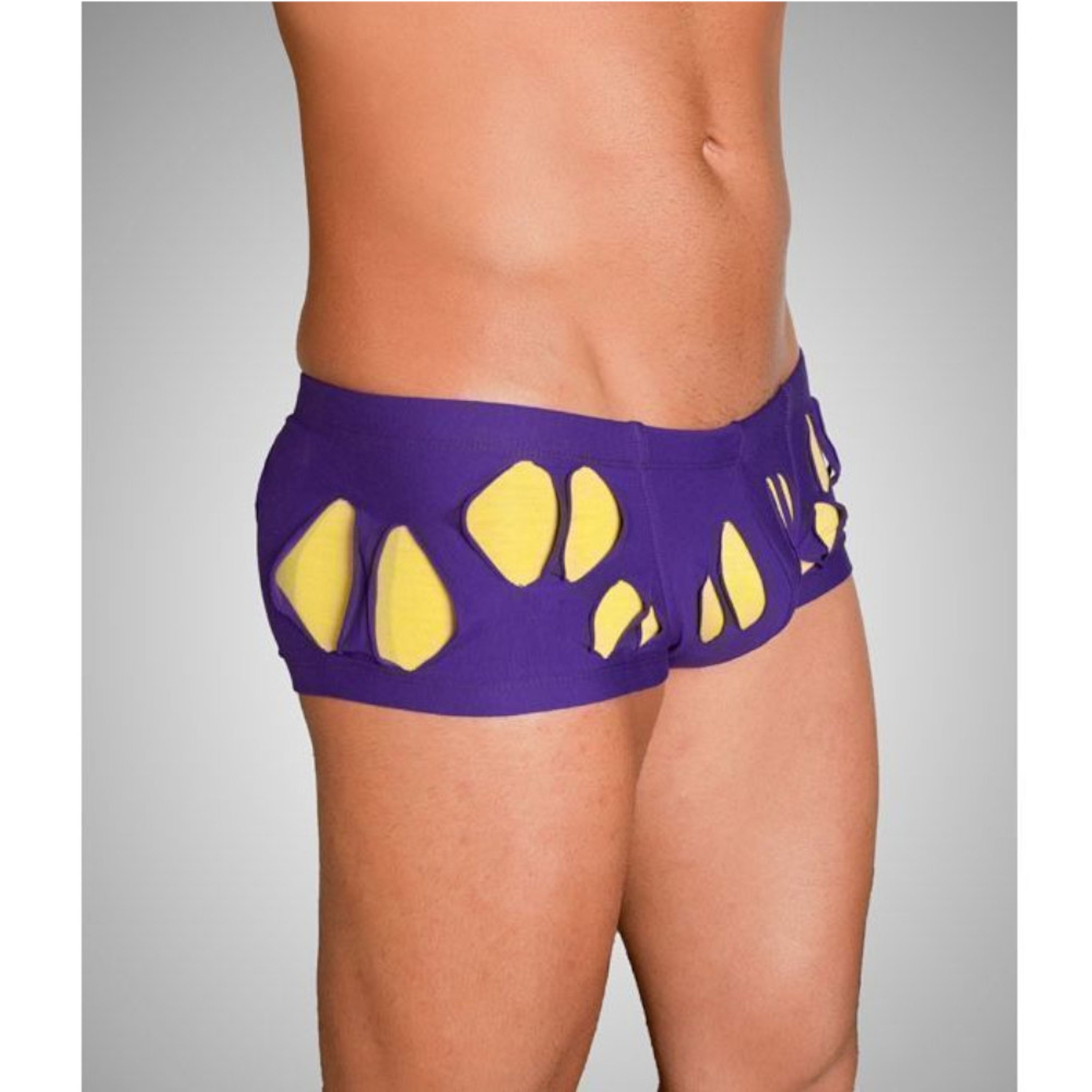 Мужские трусы хипсы фиолетовые с желтыми вставками Wild Milk Wonderland Hip Boxer Purple фото 2