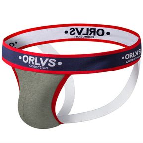 Фото Мужские трусы джоки серые ORLVS OR137-3