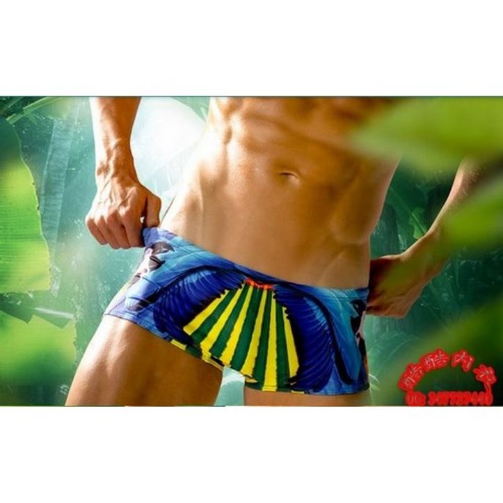 Мужские плавки боксеры разноцветные с попугаем Aussiebum Swimwear Paradise Parrot 