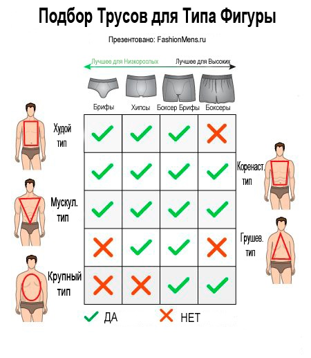 Как выбрать трусы для типа фигуры мужчины