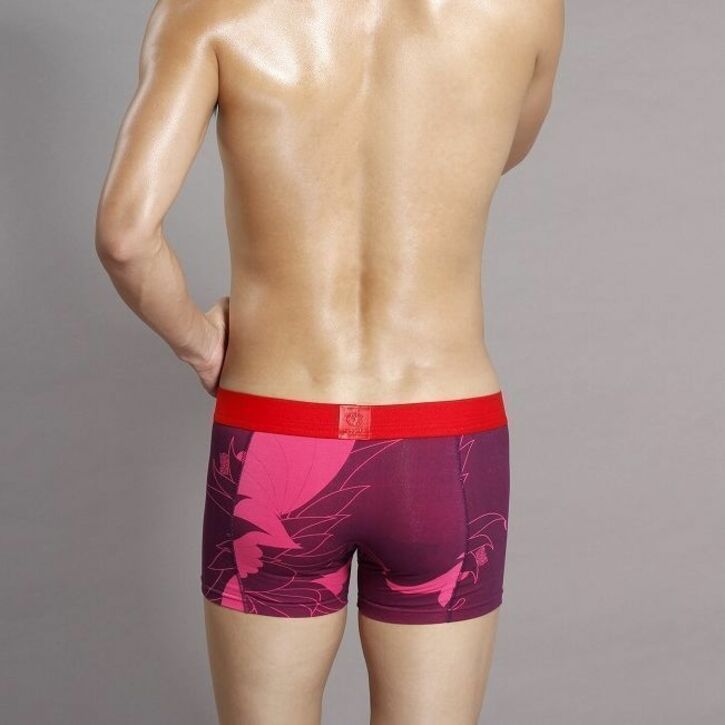 Мужские трусы боксеры GMW Purple Boxer 8543