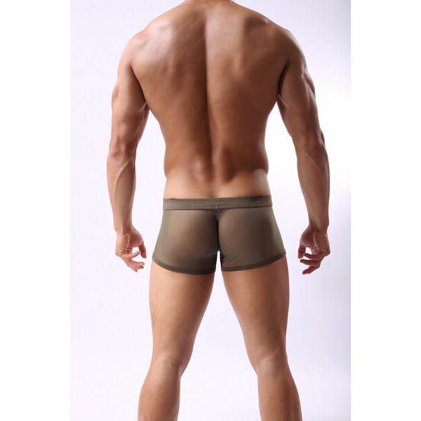 http://www.rustrus.ru/uploads/product_image/2013-11-12/18400/foto-muzhskie-trusy-boksery-v-setku--cockon-boxer-khaki.jpg
