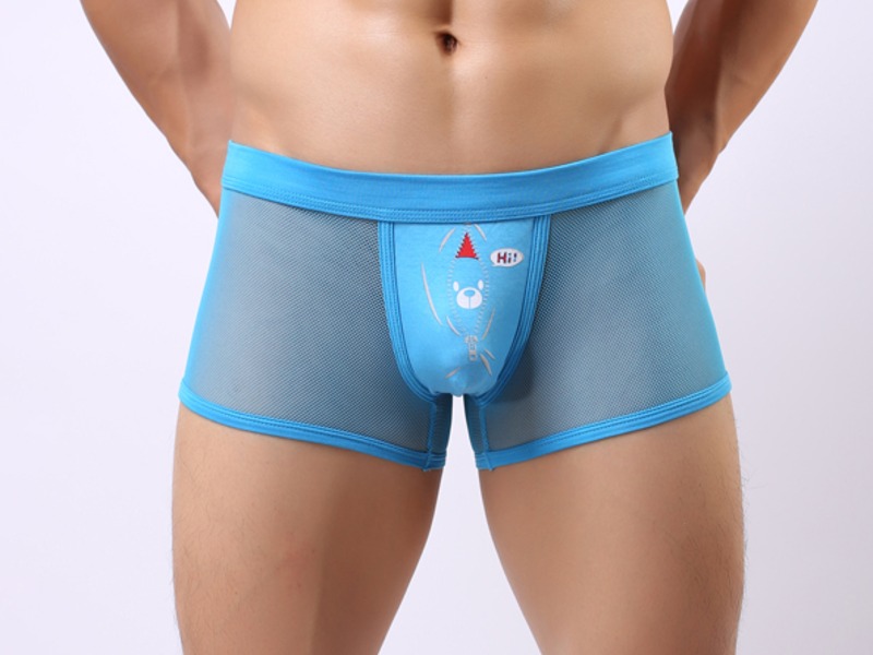 Мужские трусы боксеры голубые в сетку с рисунком Cockcon Unzip-Me Boxer Navy 850 17629