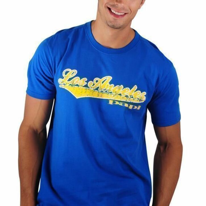 Мужская футболка синяя PAPI Los Angeles 24335