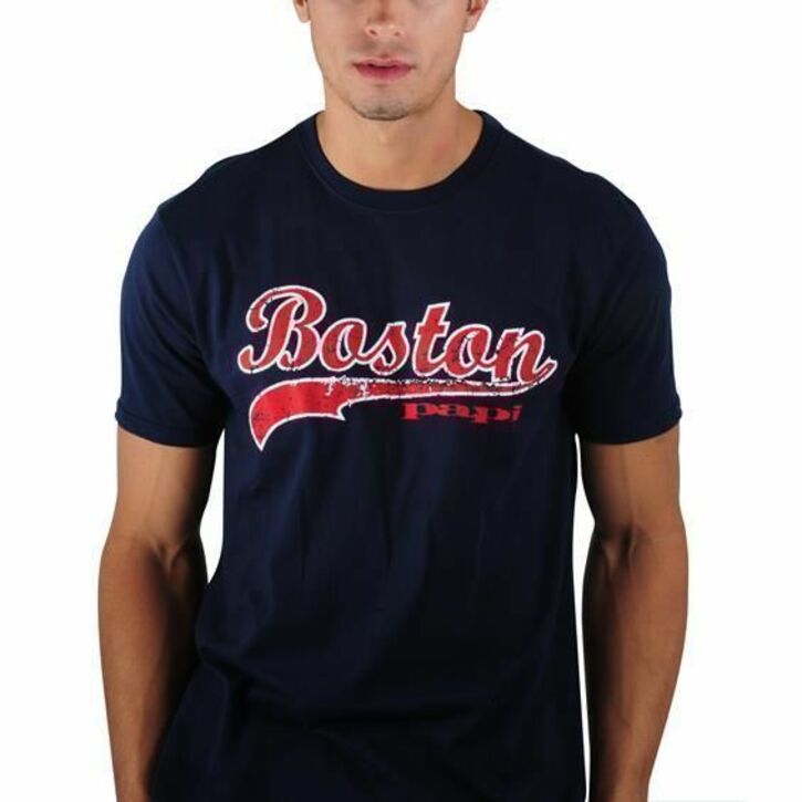 Мужская футболка темно-синяя PAPI Boston 24336