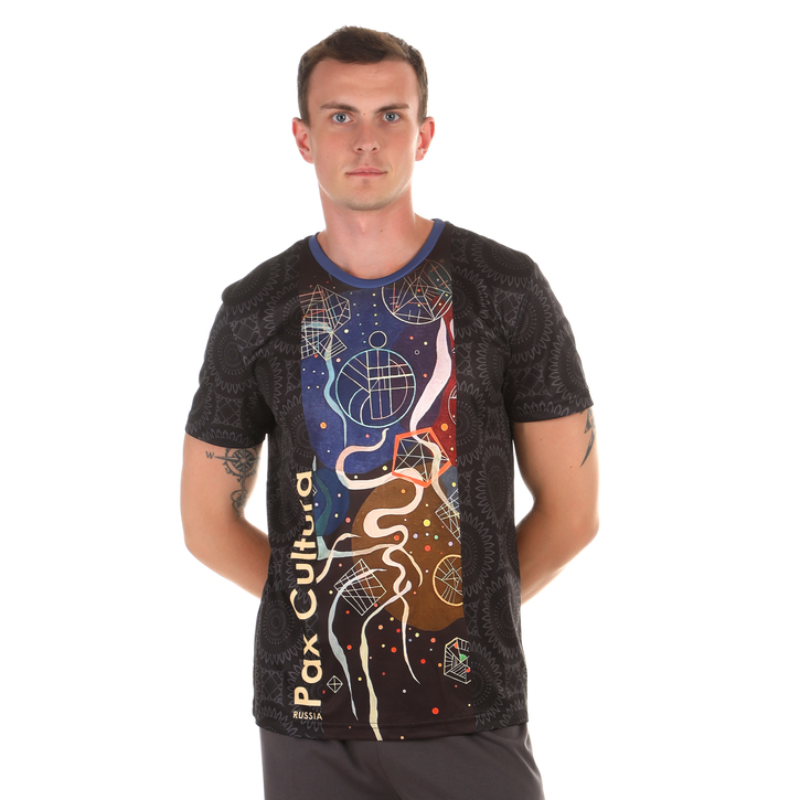 Мужская футболка темно-серая с темно-синим принтом Sesmik by Vlad Sedov VS002/VS0058 48821