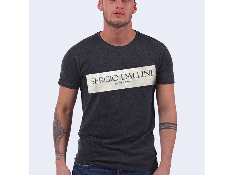 Мужская футболка темно-серая с принтом Sergio Dallini SDT750P-3 50040