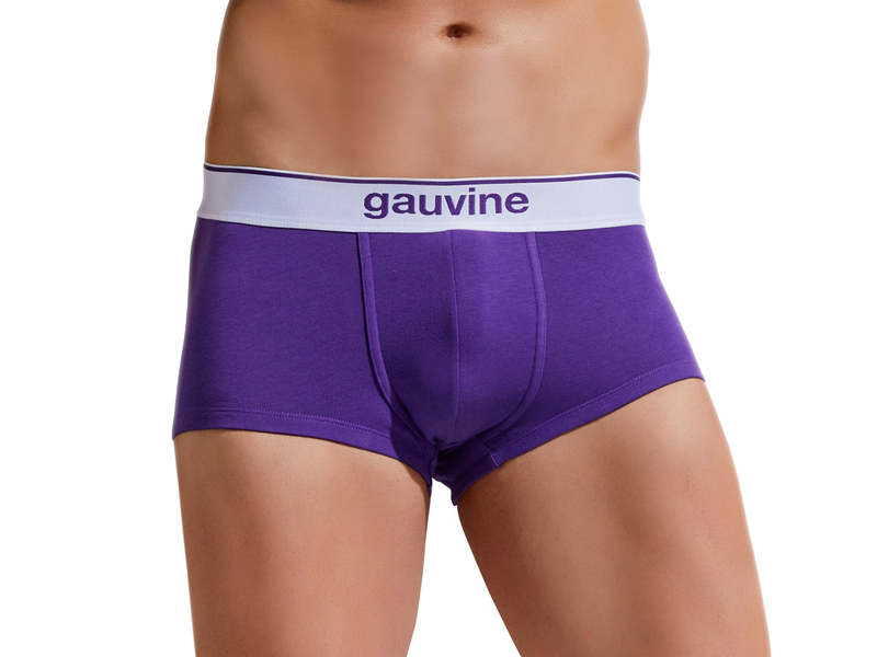 Мужские трусы хипсы фиолетовые GAUVINE 3000 49910