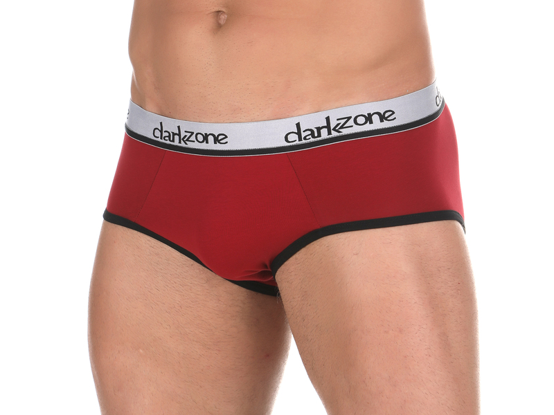 Мужские трусы брифы бордовые DARKZONE DZN6117 50866