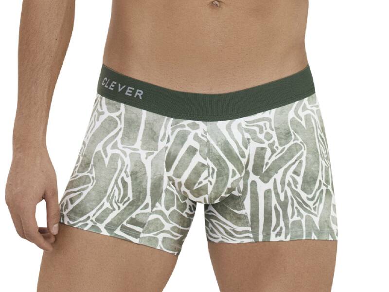 Мужские трусы боксеры с принтом цвета хаки Clever INNER BOXER 112910 50882