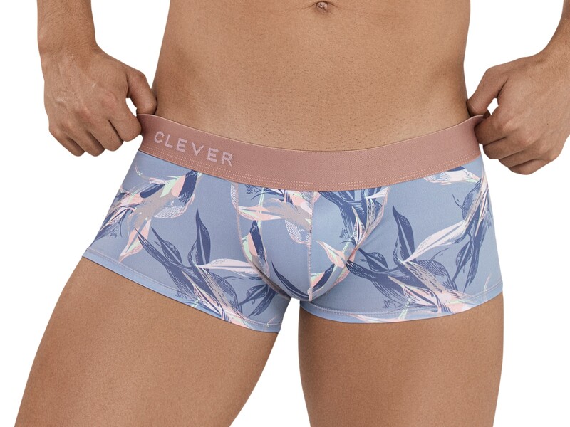 Мужские трусы хипсы голубые с принтом Clever ARCANE LATIN BOXER 113412 50884