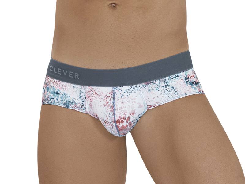 Мужские трусы брифы с принтом Clever SACRED CLASSIC BRIEF 113301 50890