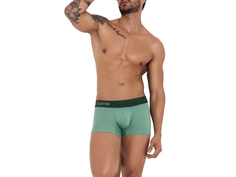 Мужские трусы боксеры зеленые Clever GRACE BOXER 123310 51265