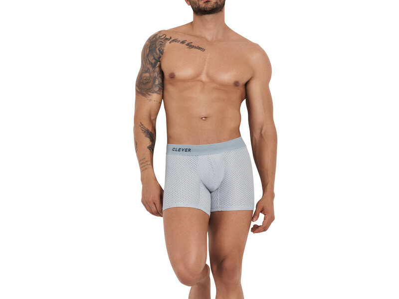 Мужские трусы боксеры серые Clever EUPHORIA BOXER 126012 51268